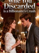 Wife You Discarded is a Billionaire's Crush